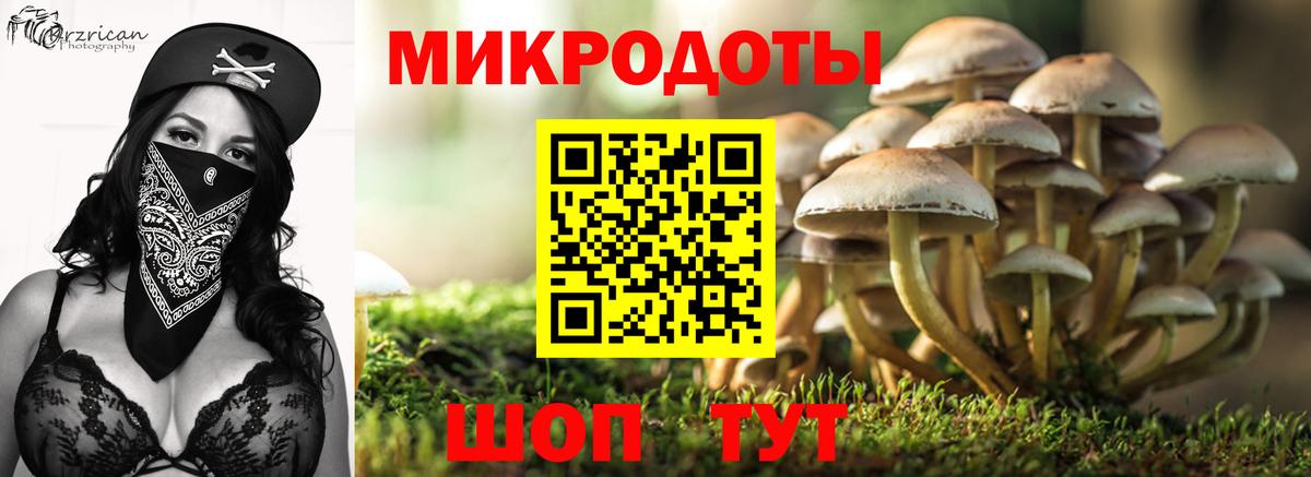 Волхов  купить   Вход с VPN  Псилоцибиновые грибы прущие грибы 